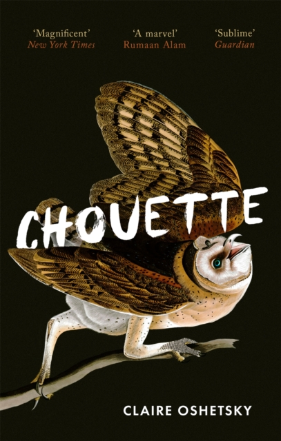 Chouette, Paperback / softback Book