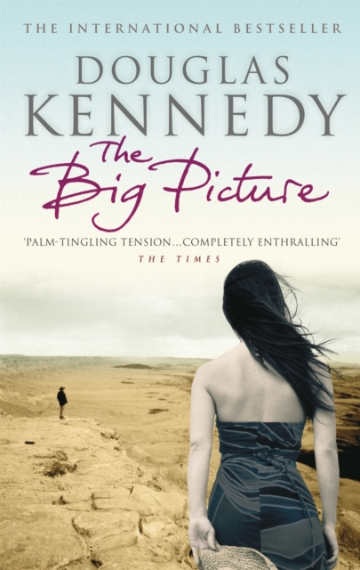The Big Picture, Paperback / softback Book