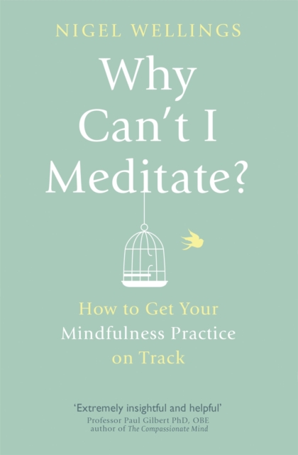 Why Can't I Meditate? : how to get your mindfulness practice on track, Paperback / softback Book