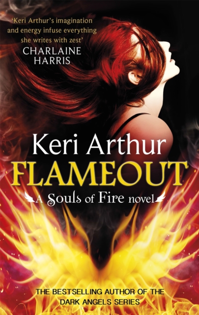 Flameout, Paperback / softback Book