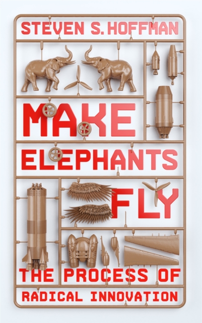Make Elephants Fly : The Process of Radical Innovation, Paperback / softback Book