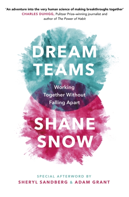 Dream Teams : Working Together Without Falling Apart, Paperback / softback Book