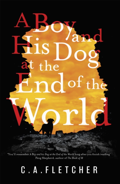 A Boy and his Dog at the End of the World, Hardback Book