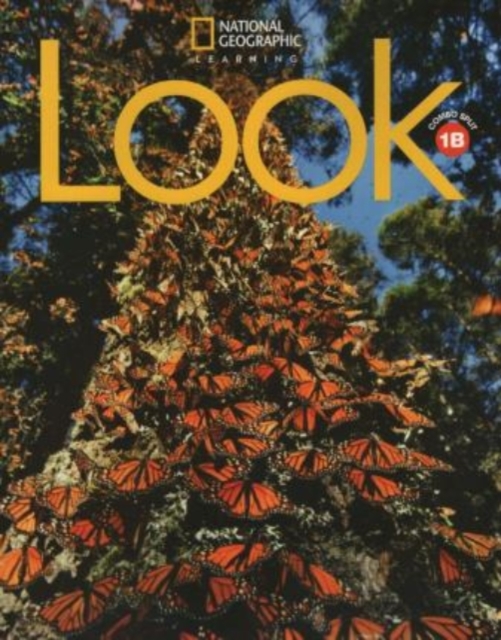 Look 1: Combo Split B, Paperback / softback Book