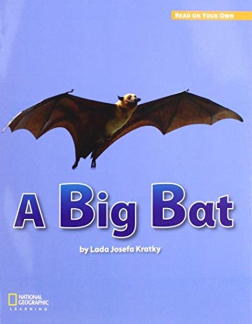 ROYO READERS LEVEL A A BIG BAT, Pamphlet Book