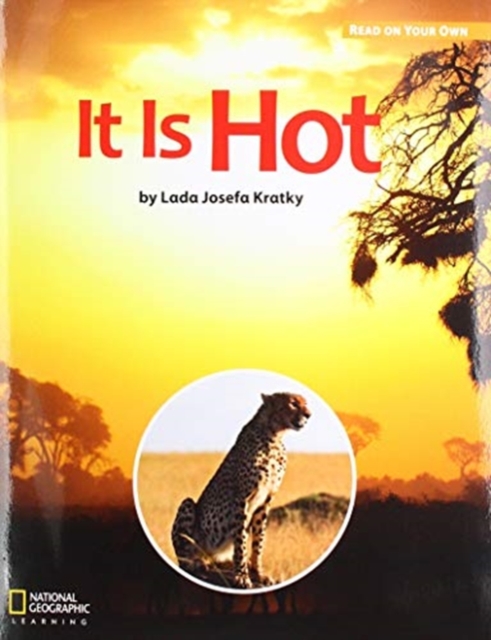 ROYO READERS LEVEL A IT IS HOT, Pamphlet Book