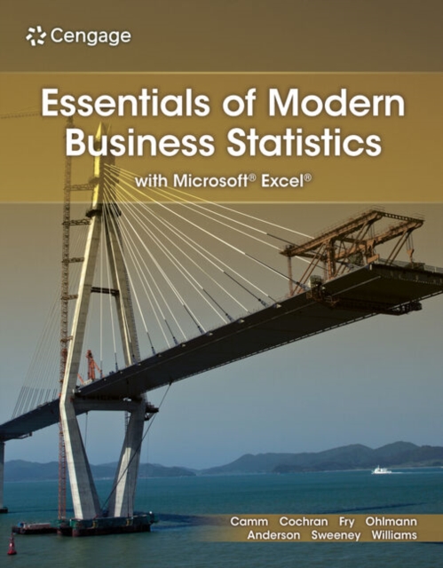 Essentials of Modern Business Statistics with Microsoft? Excel?, Paperback / softback Book