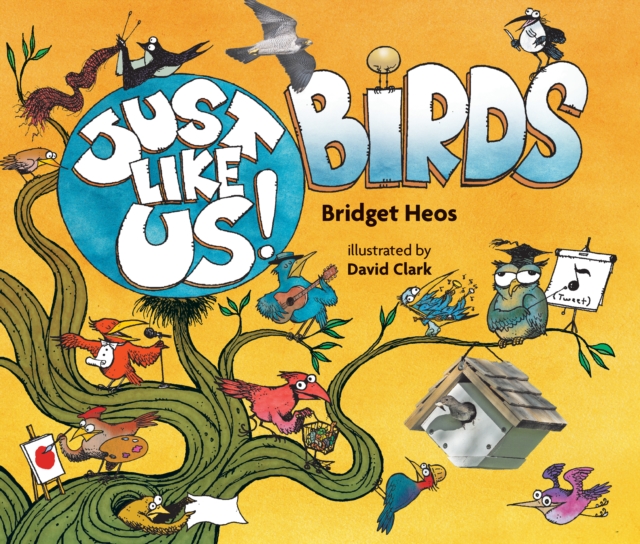 Just Like Us! Birds, Paperback / softback Book