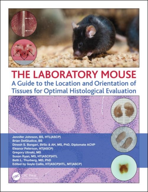 The Laboratory Mouse : A Guide to the Location and Orientation of Tissues for Optimal Histological Evaluation, Paperback / softback Book
