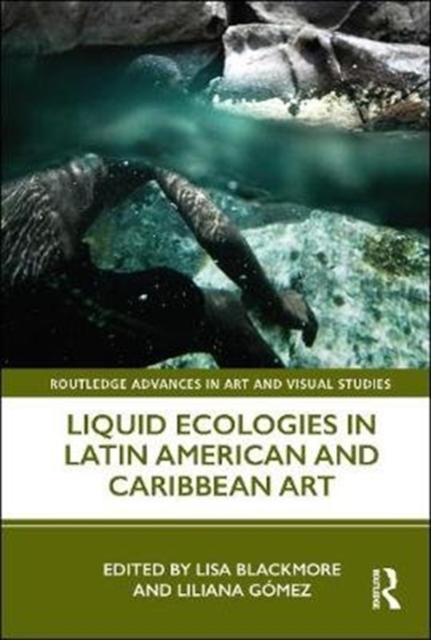Liquid Ecologies in Latin American and Caribbean Art, Hardback Book