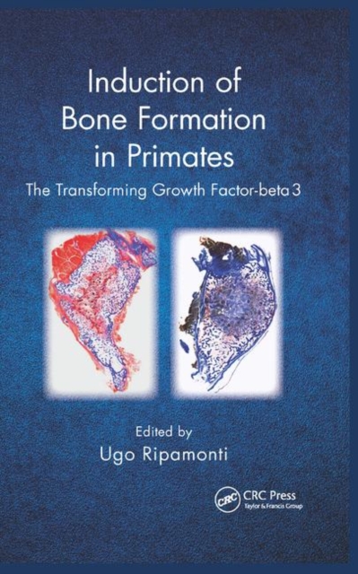 Induction of Bone Formation in Primates : The Transforming Growth Factor-beta 3, Paperback / softback Book