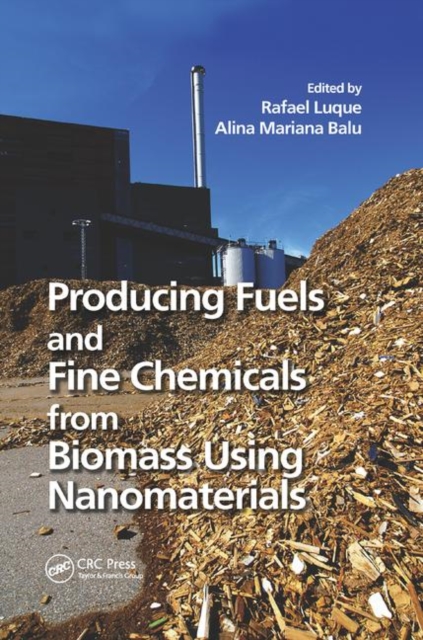 Producing Fuels and Fine Chemicals from Biomass Using Nanomaterials, Paperback / softback Book