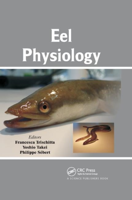 Eel Physiology, Paperback / softback Book