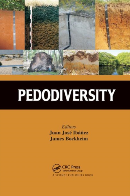 Pedodiversity, Paperback / softback Book