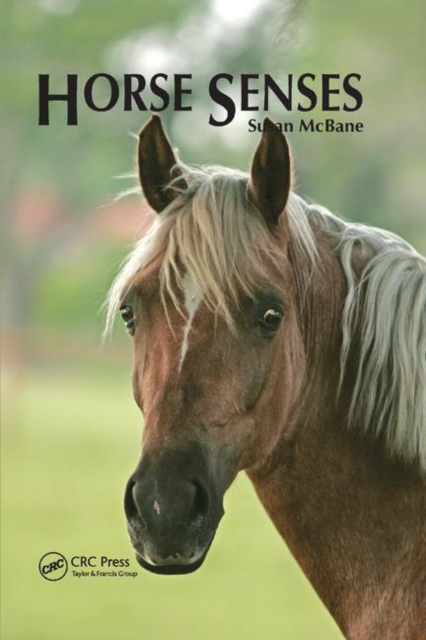 Horse Senses, Paperback / softback Book