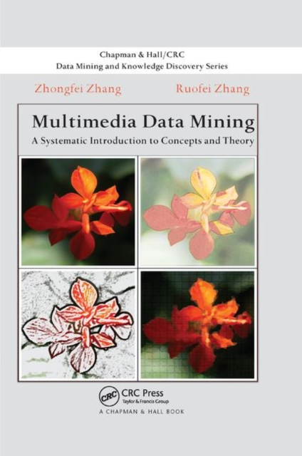 Multimedia Data Mining : A Systematic Introduction to Concepts and Theory, Paperback / softback Book