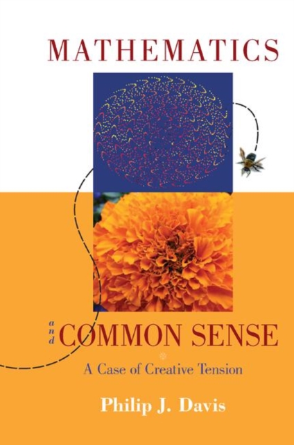 Mathematics & Common Sense : A Case of Creative Tension, Paperback / softback Book