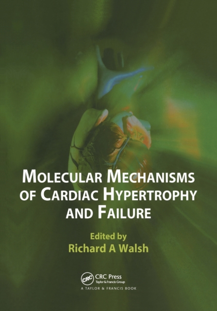 Molecular Mechanisms of Cardiac Hypertrophy and Failure, Paperback / softback Book