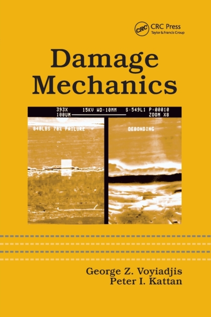 Damage Mechanics, Paperback / softback Book