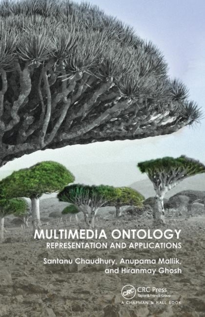 Multimedia Ontology : Representation and Applications, Paperback / softback Book