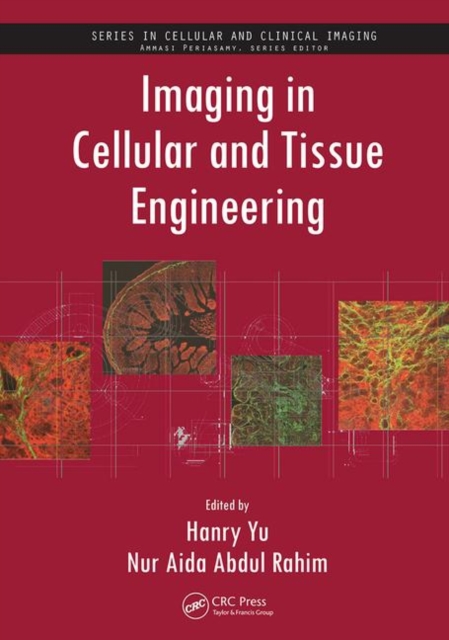 Imaging in Cellular and Tissue Engineering, Paperback / softback Book