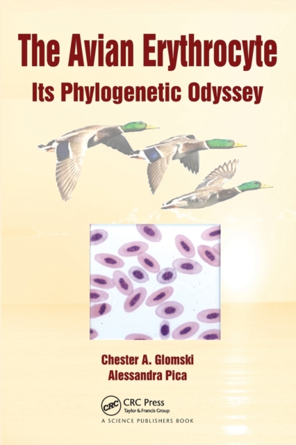The Avian Erythrocyte : Its Phylogenetic Odyssey, Paperback / softback Book