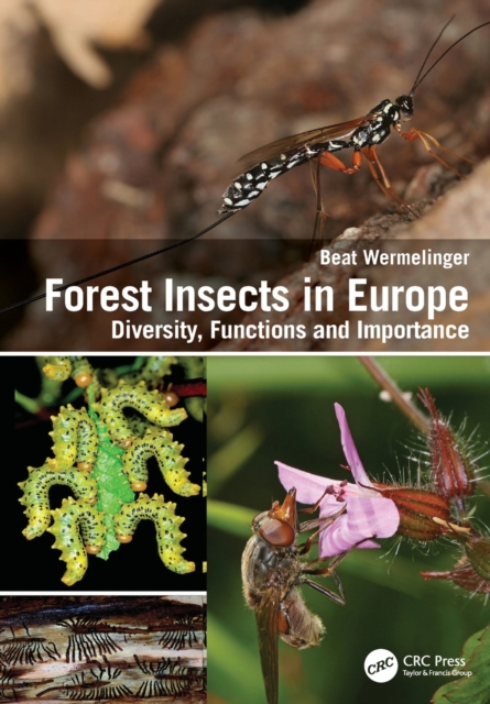 Forest Insects in Europe : Diversity, Functions and Importance, Paperback / softback Book
