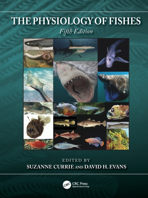 The Physiology of Fishes, Paperback / softback Book