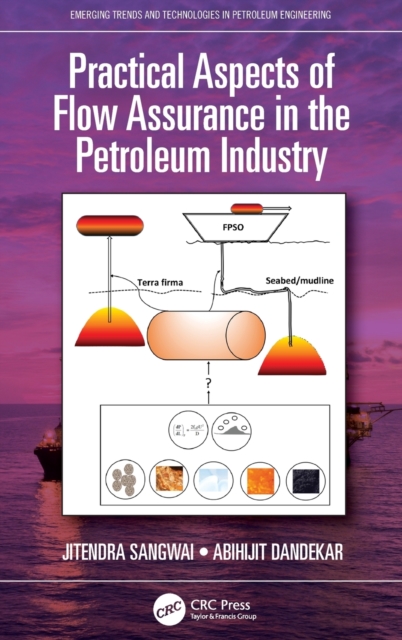 Practical Aspects of Flow Assurance in the Petroleum Industry, Hardback Book