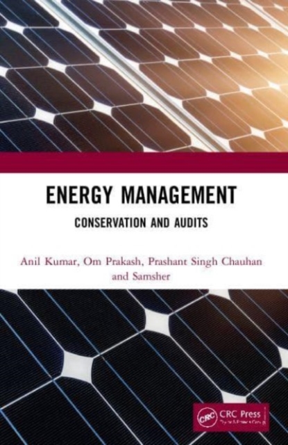 Energy Management : Conservation and Audits, Paperback / softback Book