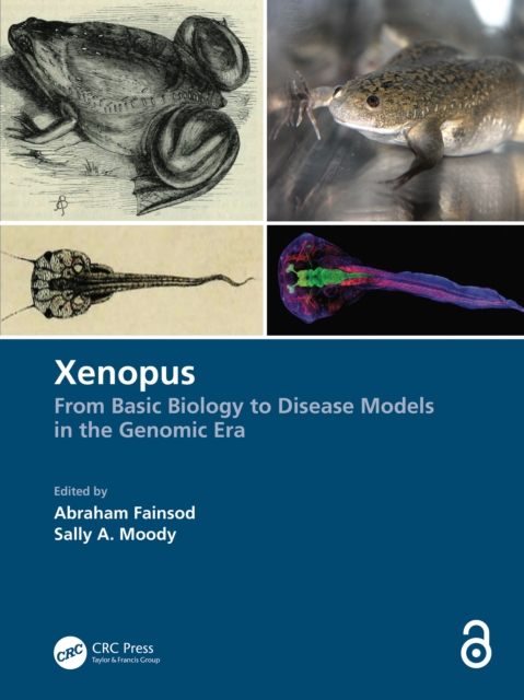 Xenopus : From Basic Biology to Disease Models in the Genomic Era, Hardback Book