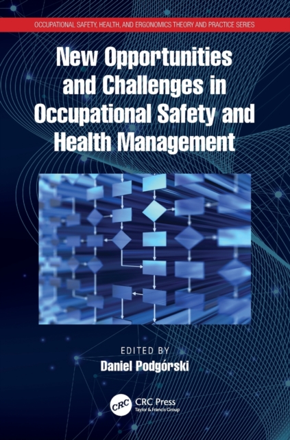 New Opportunities and Challenges in Occupational Safety and Health Management, Paperback / softback Book