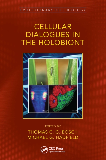Cellular Dialogues in the Holobiont, Paperback / softback Book