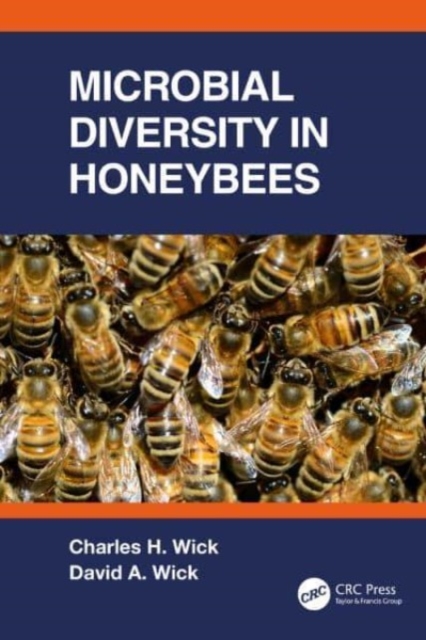 Microbial Diversity in Honeybees, Paperback / softback Book