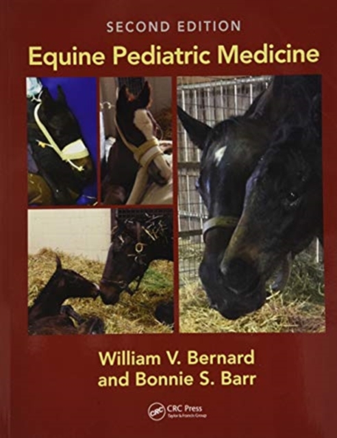 Equine Pediatric Medicine, Paperback / softback Book