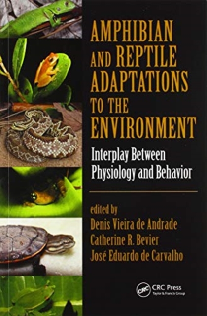 Amphibian and Reptile Adaptations to the Environment : Interplay Between Physiology and Behavior, Paperback / softback Book