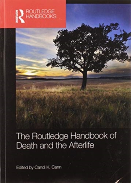 The Routledge Handbook of Death and the Afterlife, Paperback / softback Book