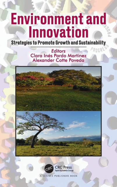 Environment and Innovation : Strategies to Promote Growth and Sustainability, Hardback Book