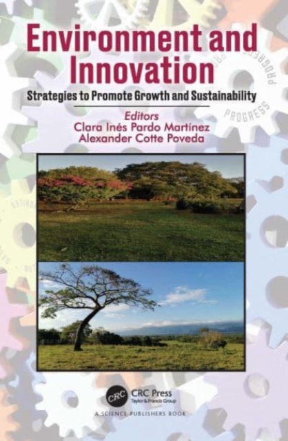 Environment and Innovation : Strategies to Promote Growth and Sustainability, Paperback / softback Book