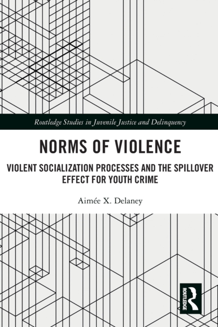 Norms of Violence : Violent Socialization Processes and the Spillover Effect for Youth Crime, Paperback / softback Book