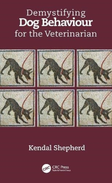 Demystifying Dog Behaviour for the Veterinarian, Hardback Book
