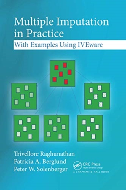 Multiple Imputation in Practice : With Examples Using IVEware, Paperback / softback Book