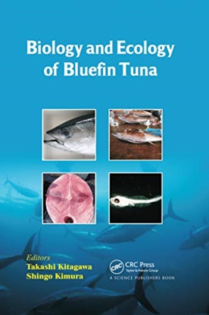 Biology and Ecology of Bluefin Tuna, Paperback / softback Book