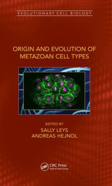Origin and Evolution of Metazoan Cell Types, Paperback / softback Book