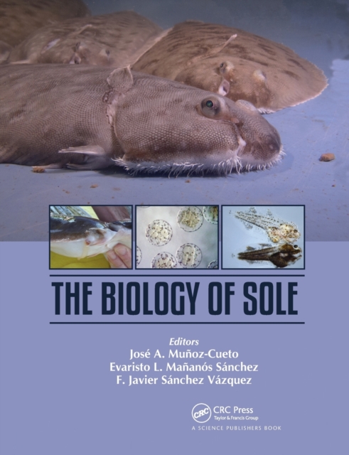 The Biology of Sole, Paperback / softback Book