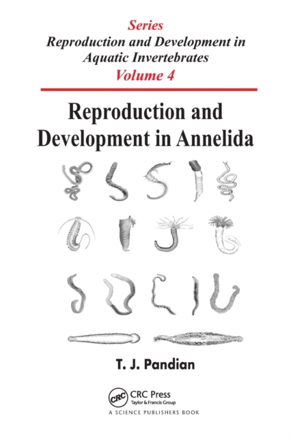 Reproduction and Development in Annelida, Paperback / softback Book