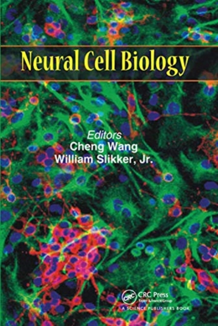 Neural Cell Biology, Paperback / softback Book