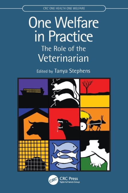One Welfare in Practice : The Role of the Veterinarian, Paperback / softback Book