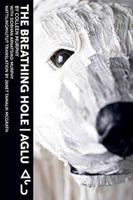 The Breathing Hole, Paperback / softback Book