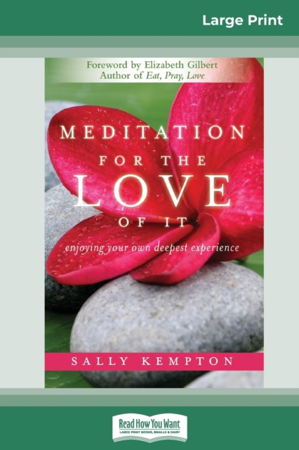 Meditation for the Love of It : Enjoying Your Own Deepest Experience (16pt Large Print Edition), Paperback / softback Book